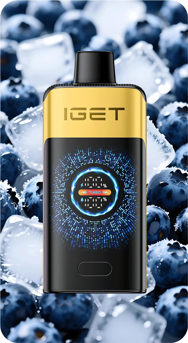 1 PIECE - IGET ONE K25000 Blueberry Ice