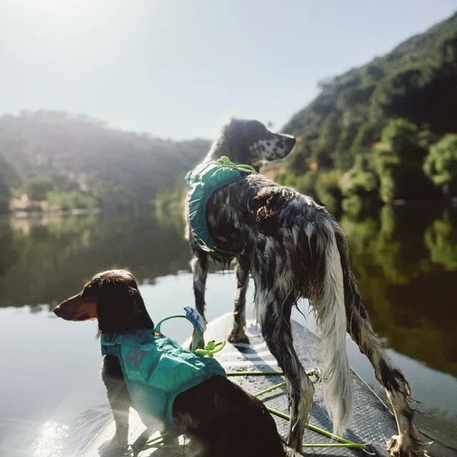 pogopup-created-for-real-life-adventures-2