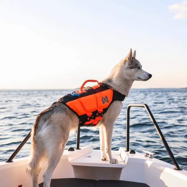 pogopup-created-for-real-life-adventures-5