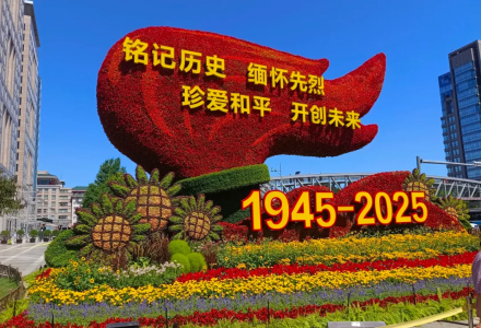 d9313af0-9626-404f-85cd-29601b55bbe2.png